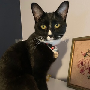 Fundraising Page: Laurie Rozen